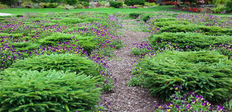 Alaska Botanical Garden