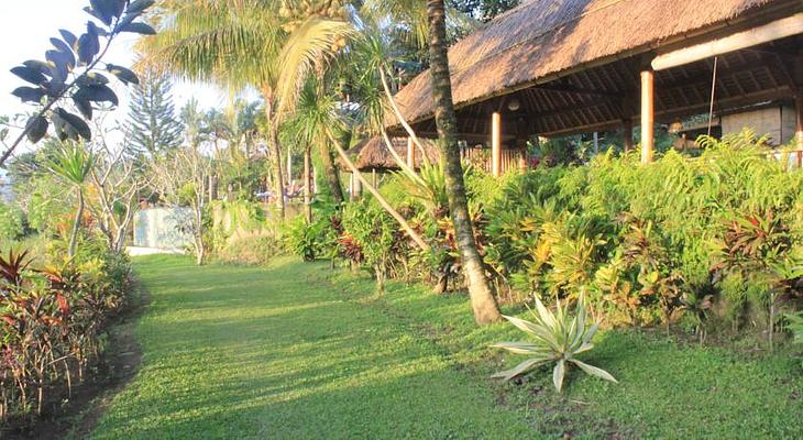 Lihat Sawah Guest House