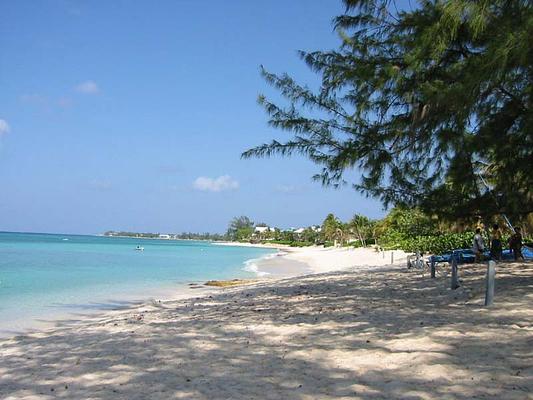 Cemetery Beach and Reef