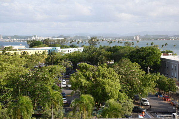 Parque de las Palomas