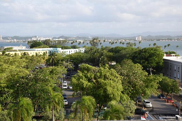 Parque de las Palomas