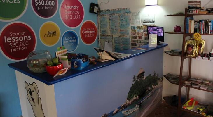 Drop Bear Hostel