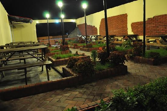 Hotel Tropical Daisy