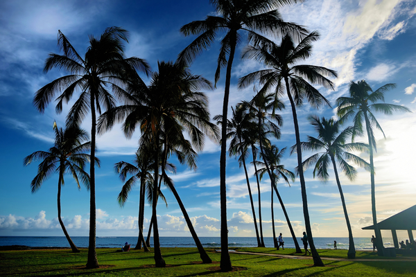 Salt Pond Beach Park