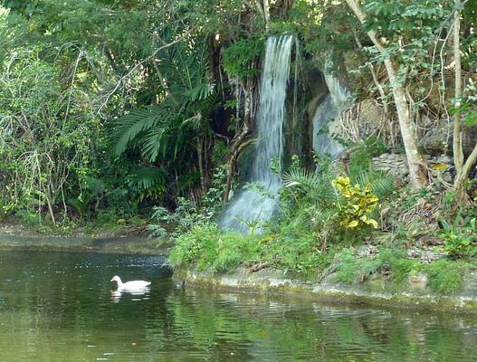 Garden of the Groves