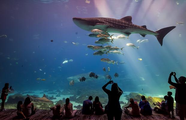 distance between atlanta zoo and georgia aquarium