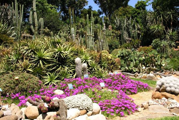 Orto Botanico di Napoli