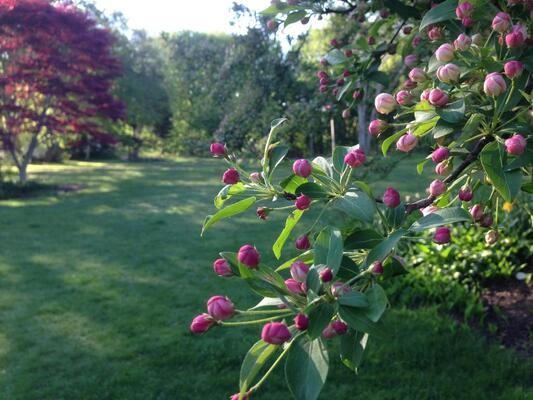 Woods Hole Passage Inn