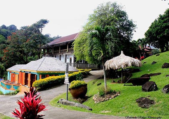 Belmont Estate Grenada