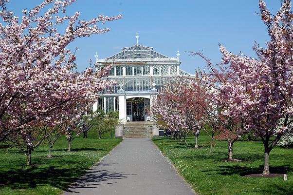 Royal Botanic Gardens, Kew