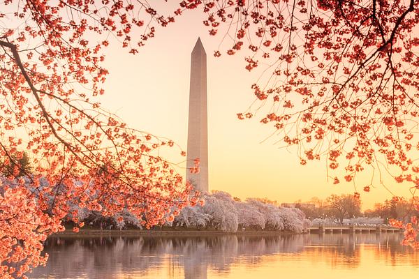 Washington Monument