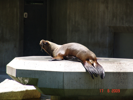 Tierpark Hellabrunn