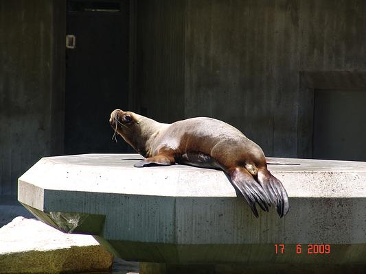 Munchener Tierpark Hellabrunn