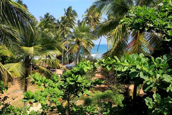 Shiva's Beach Resort & Restaurant