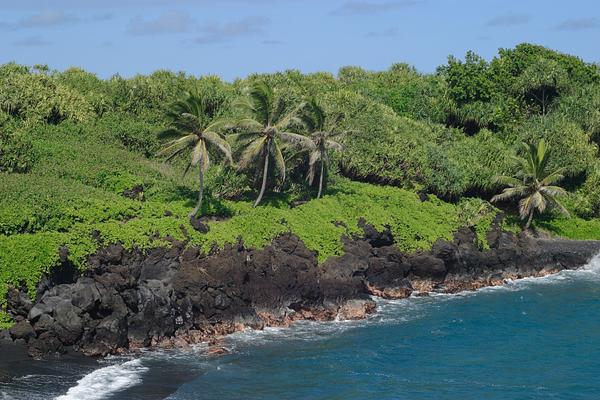 Wai'anapanapa State Park