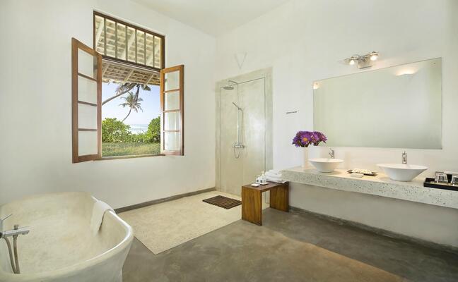 The Frangipani Tree by Edwards Collection