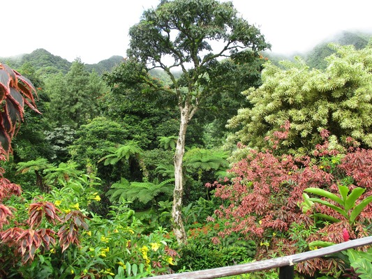 Montreal Gardens