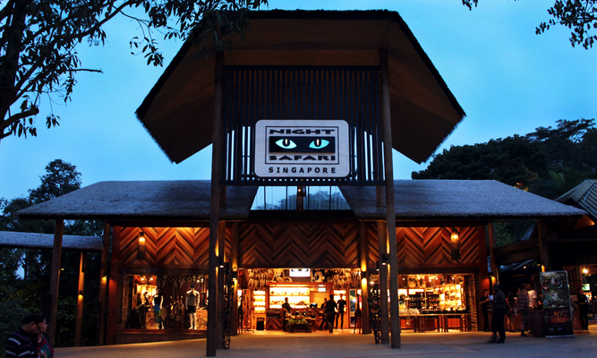 Night Safari