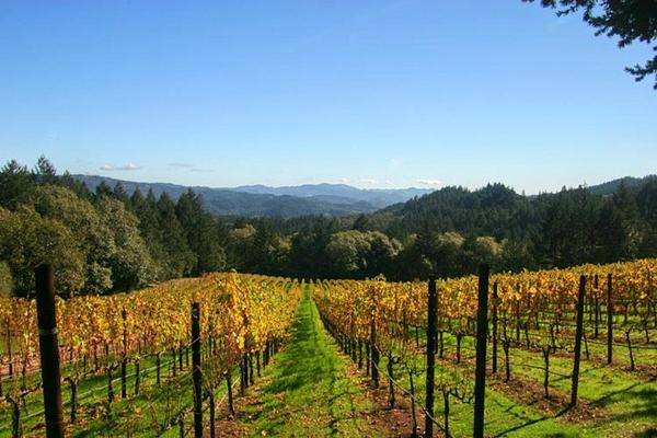 Napa Valley travel - Lonely Planet