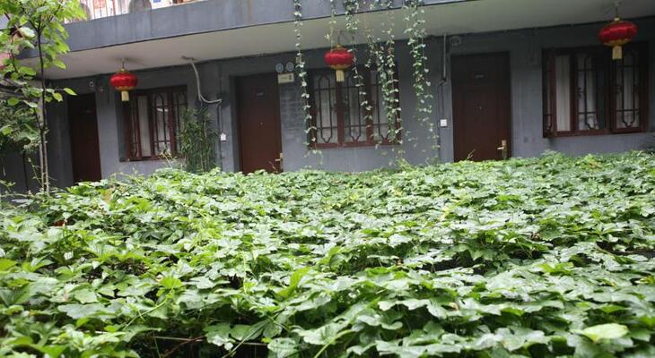 Shuyuan Youth Hostel