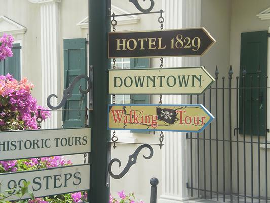 The Green Iguana Hotel