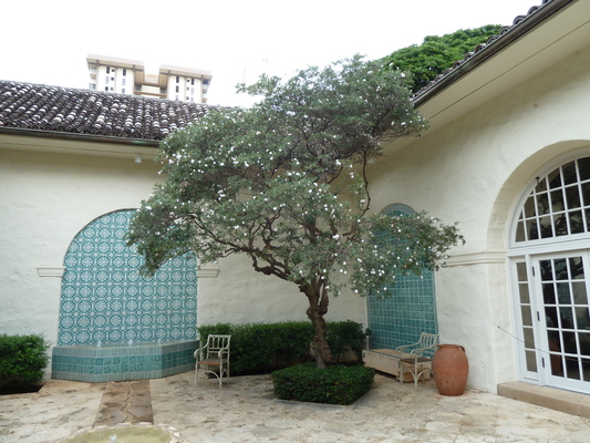 Honolulu Museum of Art Spalding House