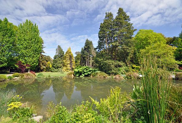 Christchurch Botanic Gardens