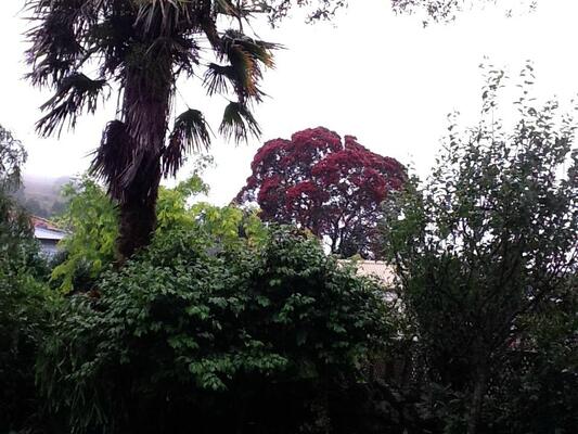 Eden Villa Bed & Breakfast