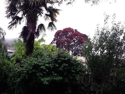 Eden Villa Bed & Breakfast