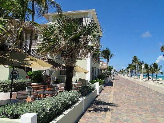 Sea Downs and the Bougainvillea