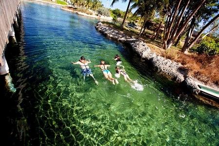 Cayman Turtle Centre: Island Wildlife Encounter