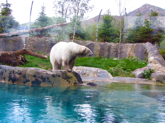 Utah's Hogle Zoo