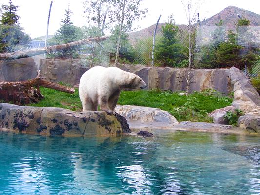 Utah's Hogle Zoo