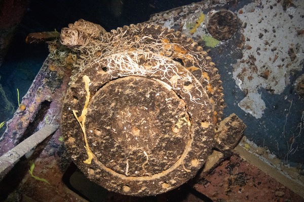 Kittiwake Shipwreck & Artificial Reef