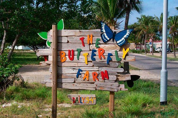 The Butterfly Farm