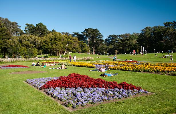 Golden Gate Park