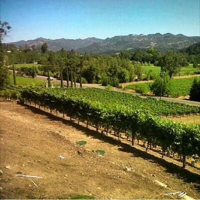 Beringer Vineyards