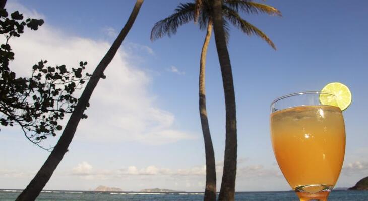 Sugar Reef Bequia