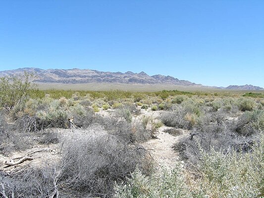 Desert National Wildlife Refuge