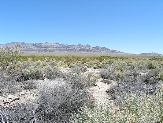 Desert National Wildlife Refuge