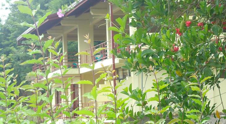 Nature Walk Resort