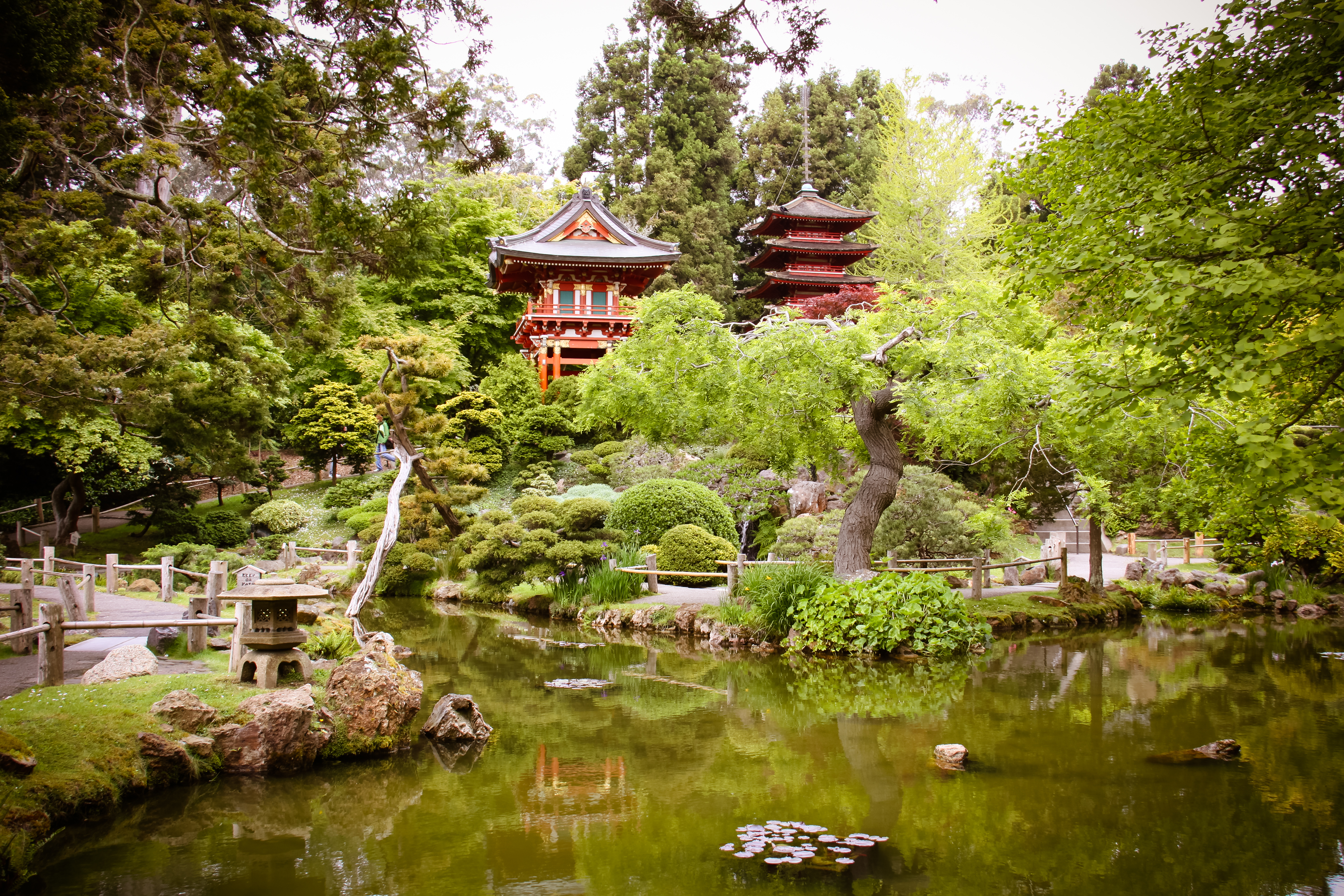 Japanese Tea Garden