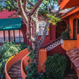 Collection O Casa Bella Hotel Boutique, Cabo San Lucas