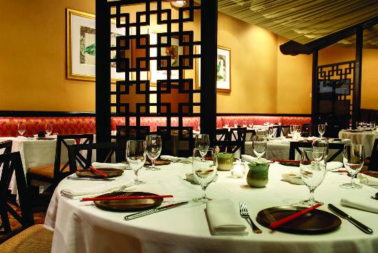 The Coral At Atlantis