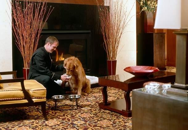 Hotel Clio, a Luxury Collection Hotel, Denver Cherry Creek