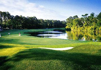 Hilton Beachfront Resort And Spa Hilton Head Island