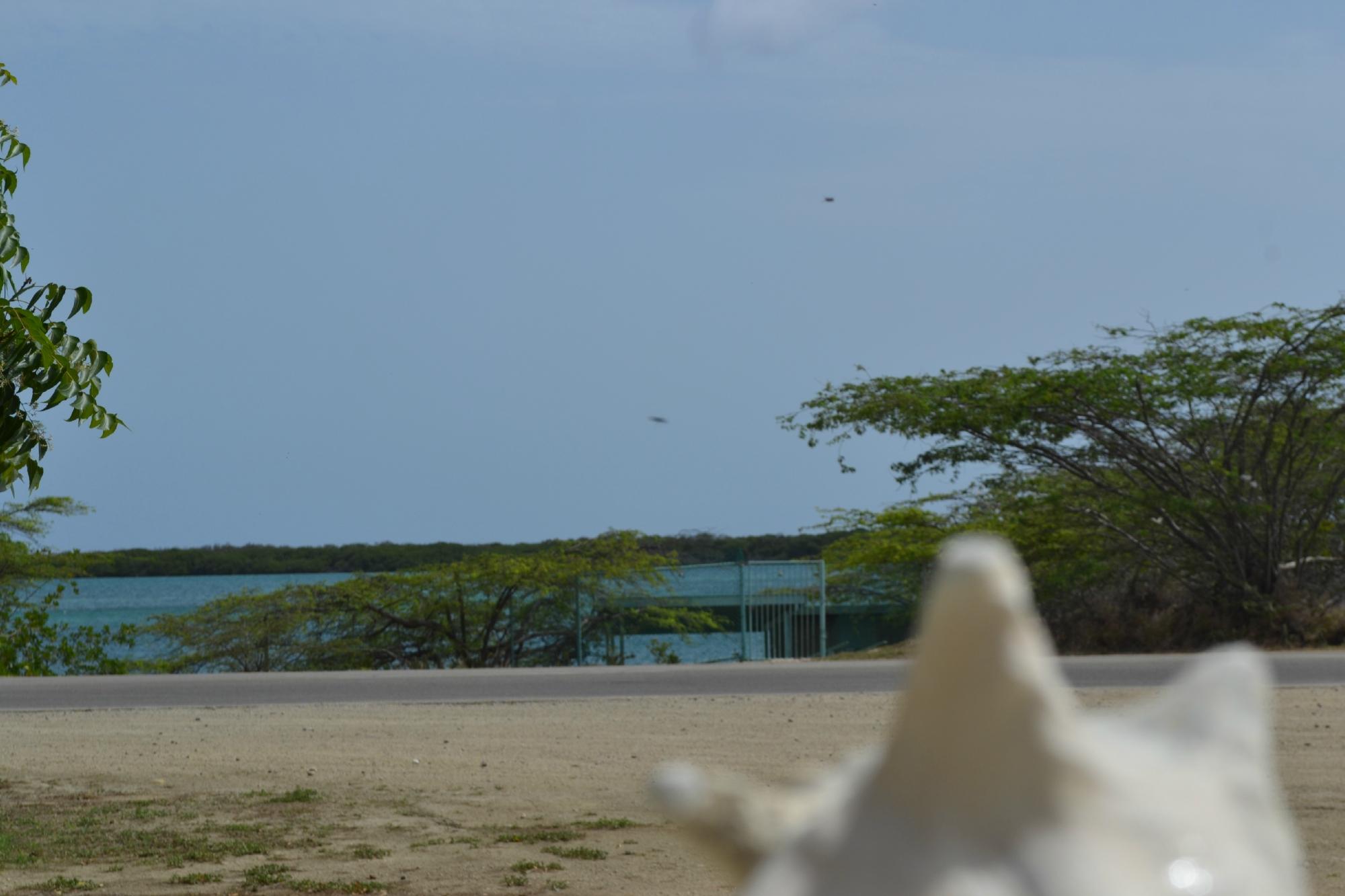 Vistalmar Ocean Suites