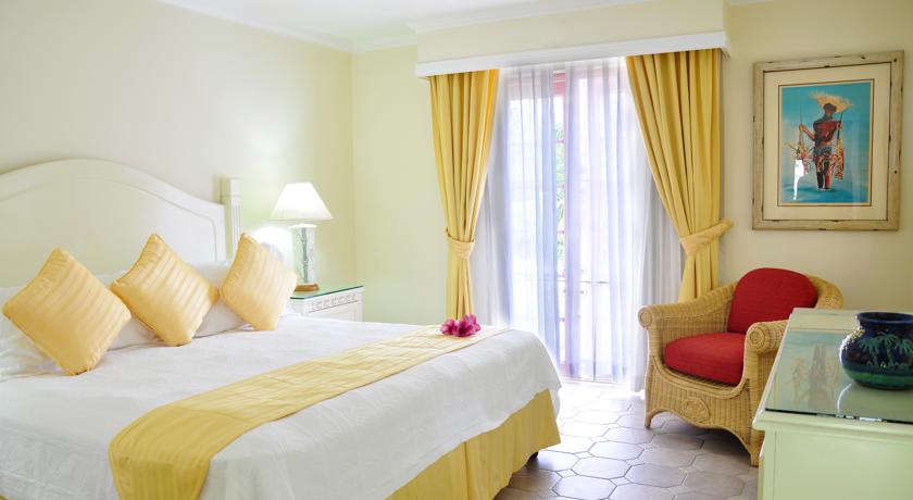 Bougainvillea Barbados