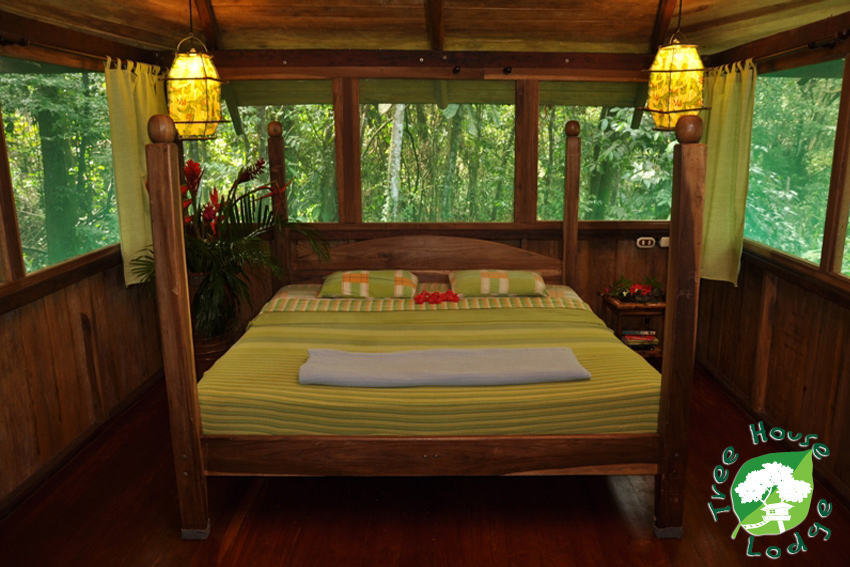 Tree House Beachfront Lodge