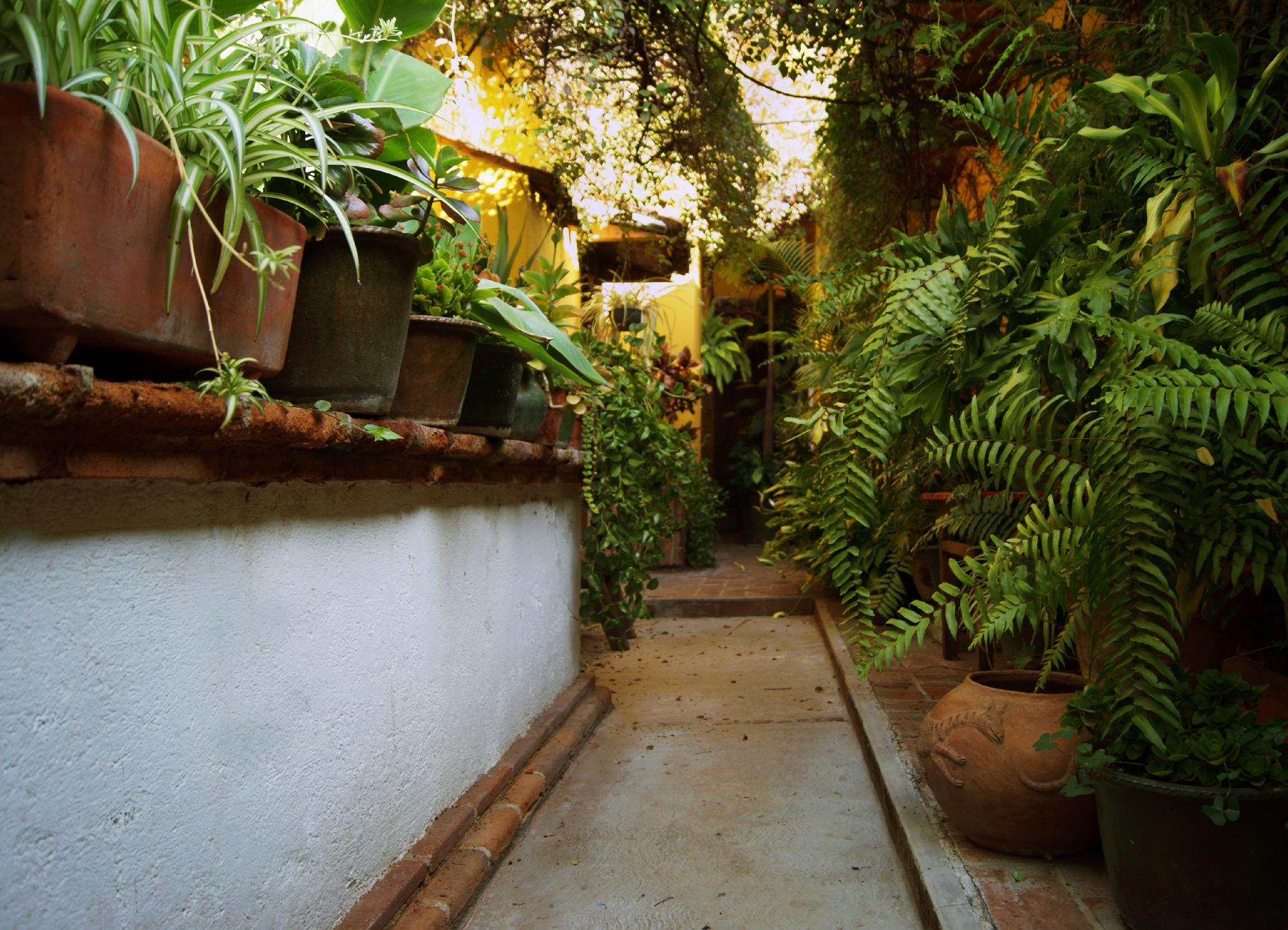 Hotel Las Golondrinas